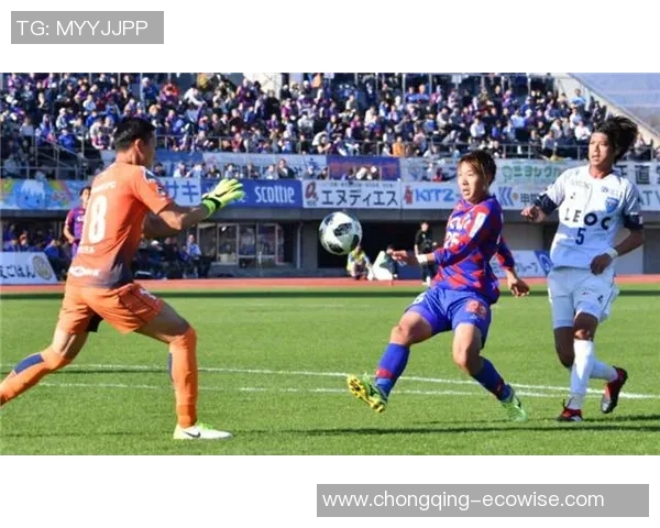 甲府风林与鹿岛鹿角精彩对决比分直播全程跟踪分析