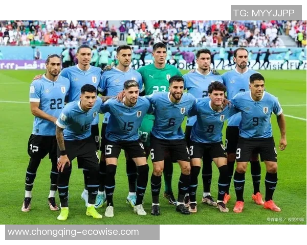 2010年世界杯经典对决加纳队与乌拉圭的生死时刻回顾