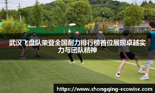 武汉飞盘队荣登全国耐力排行榜首位展现卓越实力与团队精神